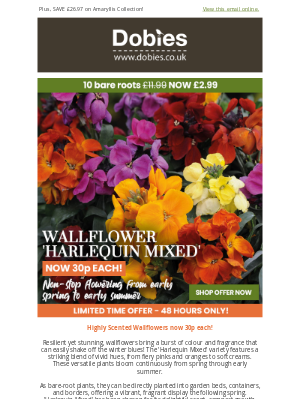 Dobies (United Kingdom) - Highly Scented Wallflowers now 30p each!