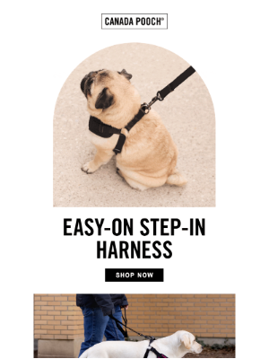 Canada Pooch - Get your pup’s harness on in one clip 🐶