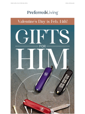 Sporty’s Pilot Shop - Valentine's Day Gifts for Him