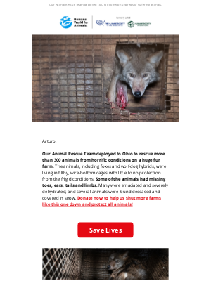 Humane Society of the United States - Hundreds of animals rescued from fur farm cruelty