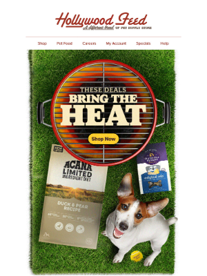 Shop Deals that Bring the Heat! ☀️
