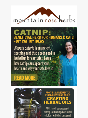 Mountain Rose Herbs - Catnip Uses & Benefits for Felines and Humans Alike