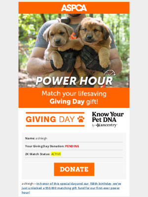 ASPCA - RIGHT NOW: Giving Day Power Hour! [Match Your Gift]