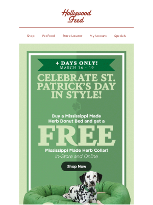 Hollywood Feed - Celebrate St. Patrick's Day with Flash Sales! 🍀💚