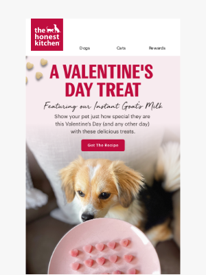 The Honest Kitchen - Treat Your Canine (or Feline) Valentine 💘