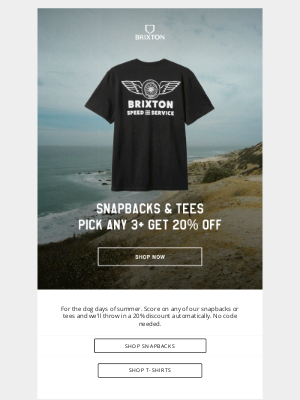 Brixton LLC - Summer’s Best Bundles: Snapbacks and Tees