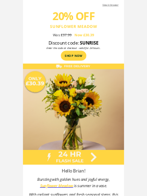 Serenata Flowers (United Kingdom) - ⚡24h Flash Sale - Sunflower Meadow🌻