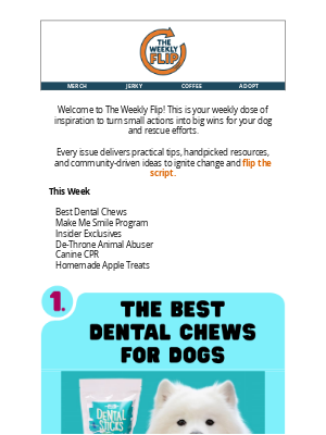 The Dog Bakery - 🔄 The Weekly Flip