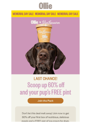 Ollie - Last Chance: 60% off + FREE dog ice cream 🐶🍦