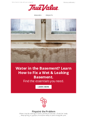 True Value - Learn how to Prevent and Repair Basement Leaks TODAY!
