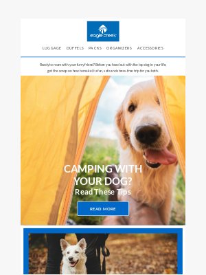 Eagle Creek - The Ultimate Dog Packing List for Camping and Road Trips
