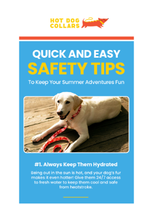 Hot Dog Collars - Dog Owner Summer Safety Tips 🦮