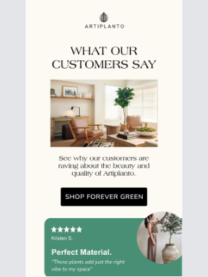artiplanto - What Our Customers Say 💬