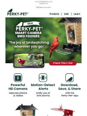 Perky Pet Feeders - NEVER miss a bird feeding moment ➜