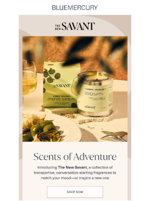 Bluemercury - Introducing: The New Savant 🕯️
