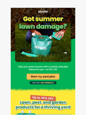 Sunday - 🍂 Stronger Lawns In Ashburn—20% OFF