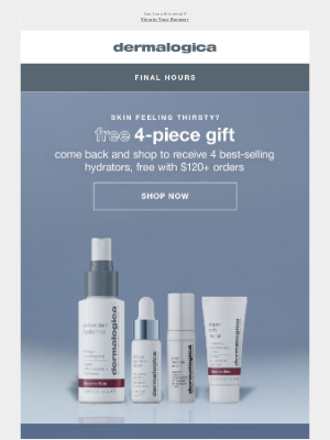 Dermalogica - 4 gifts vanish at midnight ✨