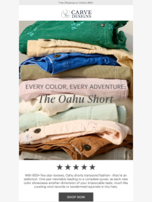 Carve Designs - Our #1 best-selling shorts ⭐️⭐️⭐️⭐️⭐️