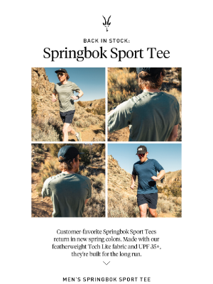 Ibex Outdoor Clothing - NEW: Springbok Sport Tee
