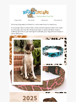 Hot Dog Collars - Take a Walk on the Wild Side!