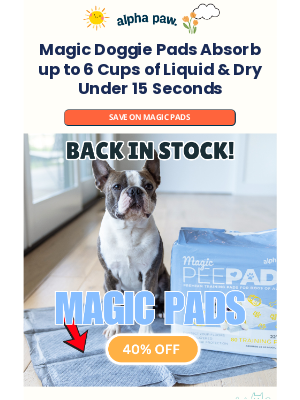 Alpha Paw - 💧 Magic Pet Pads absorb up to 6 cups of liquid!