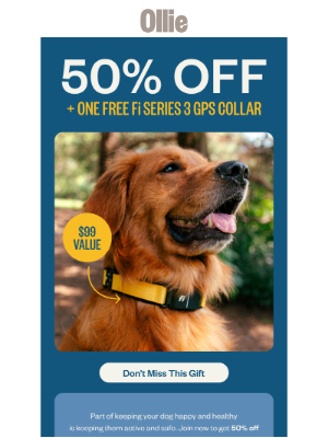 Ollie - 50% off + a FREE Fi GPS Collar