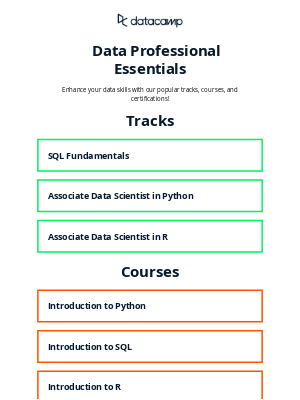 DataCamp - 📊 Data Professional Essentials
