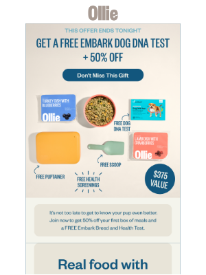 Ollie - ⚠️Don’t miss your dog’s FREE DNA test⚠️