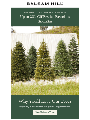 Balsam Hill - The Balsam Hill Difference