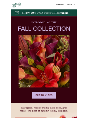 JUST DROPPED: THE FALL COLLECTION🍁🍂
