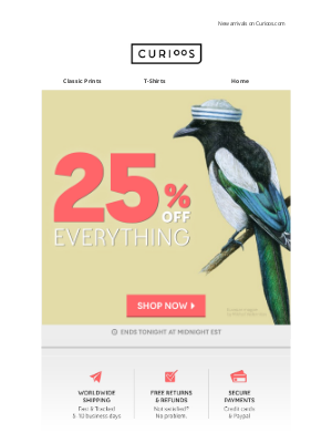 Curioos - 25% OFF Everything