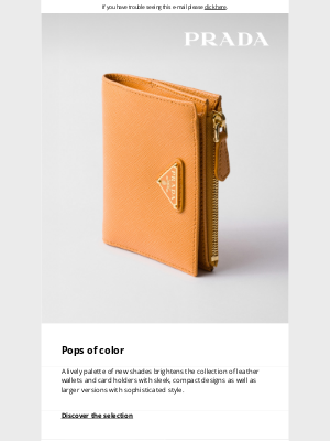 Small leather goods: Pops of color