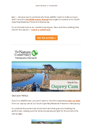 The Nature Conservancy - Jean, have you seen this osprey video?