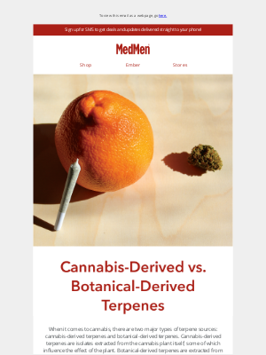 MedMen - Cannabis-Derived Vs. Botanical-Derived Terpenes