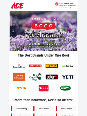 Ace Hardware - BOGO on 4pk Annuals – Shop Today - 4/28