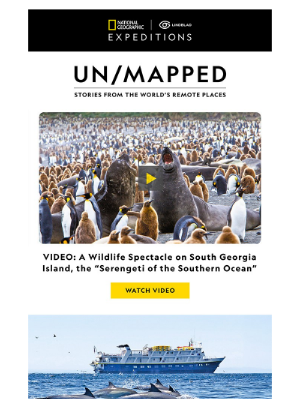 Lindblad Expeditions - Un/Mapped: South Georgia's Wildlife Spectacle, 5 Reasons to Celebrate in Baja California and an Illuminating Q&A for Earth Month