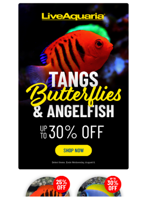 LiveAquaria - 🎉 Save up to 30% on these head turners!