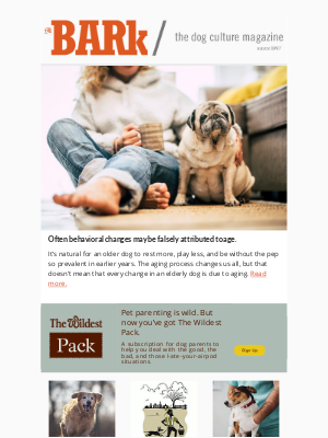 BarkGoods - Old Dogs’ Illnesses Can Go Unnoticed