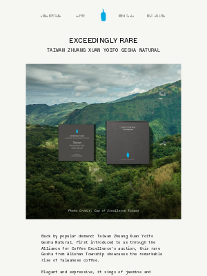 Blue Bottle Coffee - Exceedingly Rare | Taiwan Zhuang Xuan Yoifo Gesha Natural