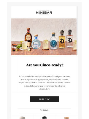 Mini Bar - Are You Cinco-Ready?