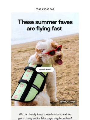 Max-Bone - Looks like you’re having fun this summer
