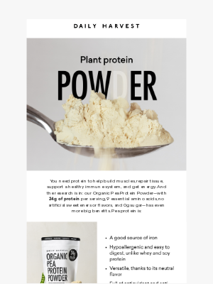 Daily Harvest - Why our plant protein powder is better
