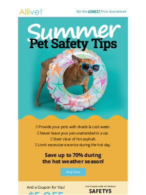 Allivet - Summer Pet Safety & Savings!