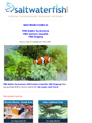 Saltwaterfish - 🐠FREE Anemone & Clownfish Combo! + FREE Shipping