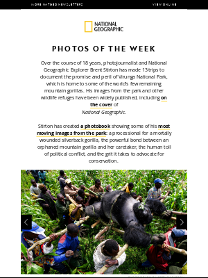 National Geographic - 📸 PHOTOS OF THE WEEK: The world’s last mountain gorillas