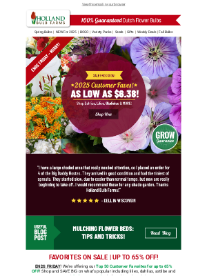 Holland Bulb Farms - CUSTOMER'S CHOICE 🤩 Packs as LOW as $6.38!
