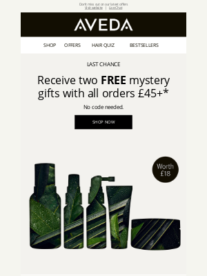 Aveda (UK) - Hurry! Last chance to receive two FREE mystery gifts!