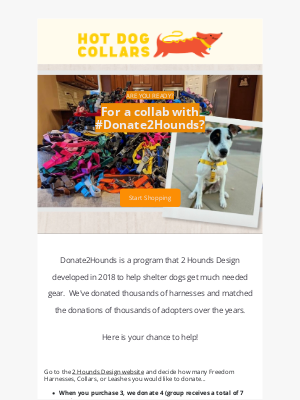 Hot Dog Collars - HDC & 2HD Join forces for shelter dogs 🐾