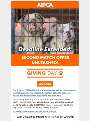 ASPCA - Don’t Miss This Last Chance Offer!