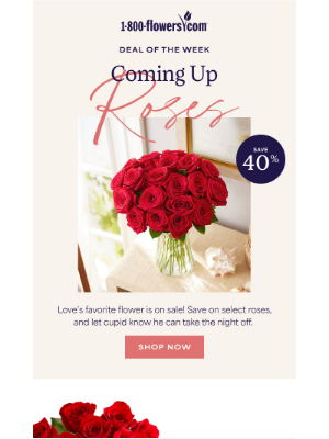 1-800-Flowers - A fall steal: 40% off roses